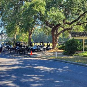 Photo #14 of 131 Waterhall Dr., Murrells Inlet, SC 0.4 acres
