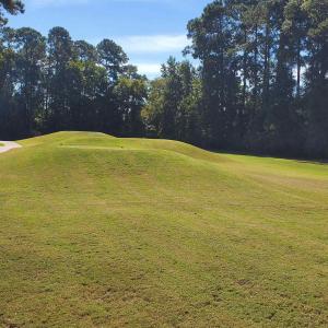 Photo #19 of 131 Waterhall Dr., Murrells Inlet, SC 0.4 acres