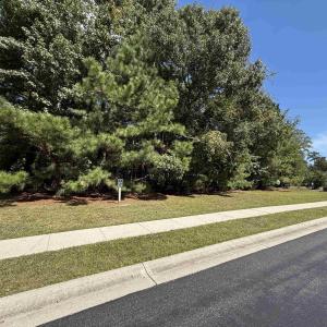 Photo #1 of 155 Low Country Loop, Murrells Inlet, SC 0.5 acres