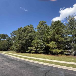 Photo #3 of 155 Low Country Loop, Murrells Inlet, SC 0.5 acres