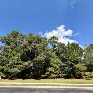 Photo #2 of 155 Low Country Loop, Murrells Inlet, SC 0.5 acres