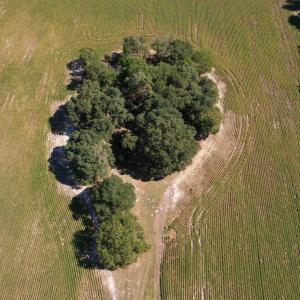 Photo #5 of Lot 2 - Sumter Hwy., Kingstree, SC 5.0 acres