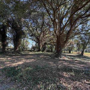 Photo #1 of Lot 2 - Sumter Hwy., Kingstree, SC 5.0 acres