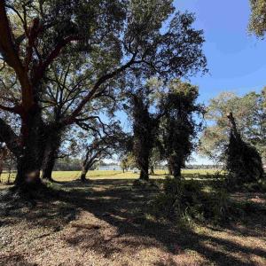Photo #10 of Lot 2 - Sumter Hwy., Kingstree, SC 5.0 acres