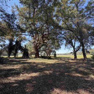 Photo #12 of Lot 2 - Sumter Hwy., Kingstree, SC 5.0 acres