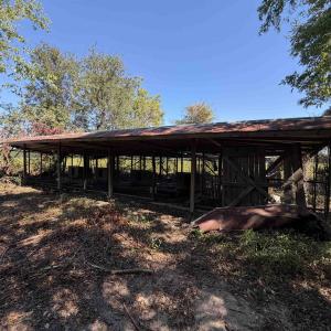 Photo #11 of Lot 2 - Sumter Hwy., Kingstree, SC 5.0 acres