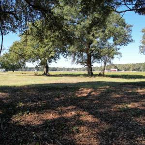 Photo #3 of Lot 2 - Sumter Hwy., Kingstree, SC 5.0 acres