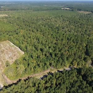 Photo #3 of TBD Bellaire Dr., Nichols, SC 3.2 acres