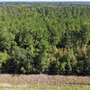 Photo #7 of TBD Bellaire Dr., Nichols, SC 3.2 acres