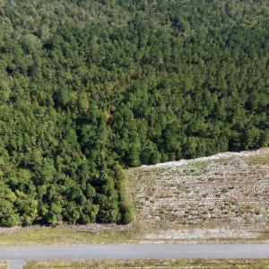 Photo #6 of TBD Bellaire Dr., Nichols, SC 3.2 acres