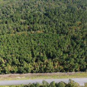 Photo #8 of TBD Bellaire Dr., Nichols, SC 3.1 acres