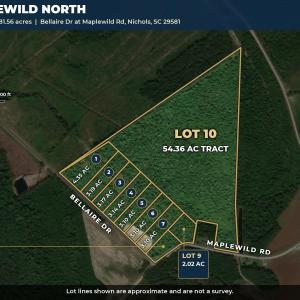 Photo #2 of TBD Bellaire Dr., Nichols, SC 3.1 acres