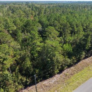Photo #5 of TBD Maplewild Rd., Nichols, SC 54.4 acres