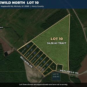 Photo #1 of TBD Maplewild Rd., Nichols, SC 54.4 acres