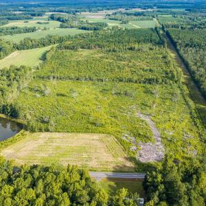 Photo #1 of TBD Green Sea Rd., Green Sea, SC 110.0 acres