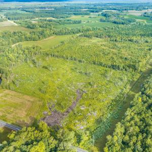 Photo #6 of TBD Green Sea Rd., Green Sea, SC 110.0 acres