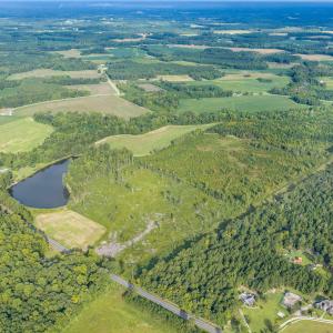 Photo #3 of TBD Green Sea Rd., Green Sea, SC 110.0 acres