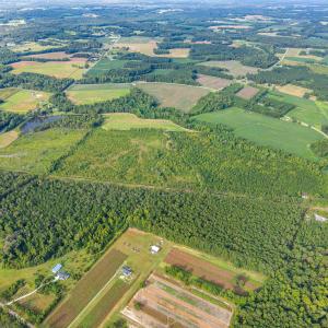 Photo #4 of TBD Green Sea Rd., Green Sea, SC 110.0 acres