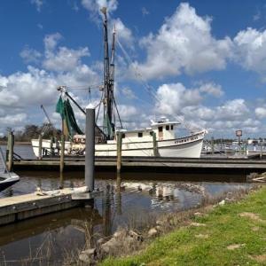 Photo #28 of Lot 161 Seaport Circle, Georgetown, SC 0.3 acres