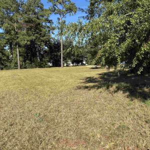 Photo #3 of Lot 161 Seaport Circle, Georgetown, SC 0.3 acres