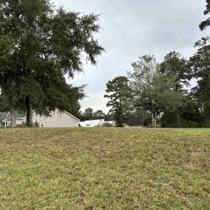 Photo #21 of Lot 161 Seaport Circle, Georgetown, SC 0.3 acres