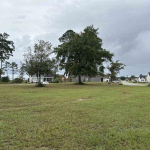 Photo #22 of Lot 161 Seaport Circle, Georgetown, SC 0.3 acres
