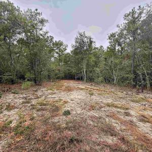 Photo #5 of 1682 Carriage Dr., Loris, SC 10.0 acres