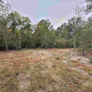 Photo #4 of 1682 Carriage Dr., Loris, SC 10.0 acres
