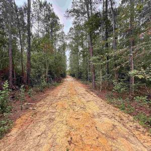 Photo #6 of 1682 Carriage Dr., Loris, SC 10.0 acres