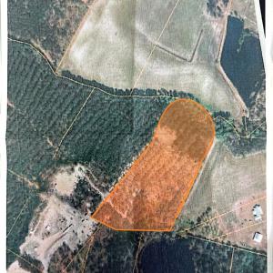 Photo #11 of 1682 Carriage Dr., Loris, SC 10.0 acres