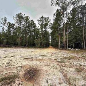 Photo #2 of 1682 Carriage Dr., Loris, SC 10.0 acres