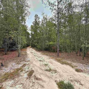Photo #8 of 1682 Carriage Dr., Loris, SC 10.0 acres