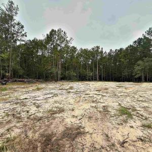 Photo #3 of 1682 Carriage Dr., Loris, SC 10.0 acres