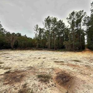 Photo #1 of 1682 Carriage Dr., Loris, SC 10.0 acres