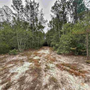 Photo #7 of 1682 Carriage Dr., Loris, SC 10.0 acres