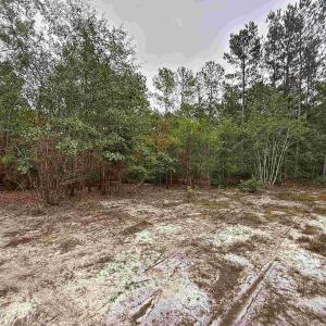 Photo #9 of 1682 Carriage Dr., Loris, SC 10.0 acres