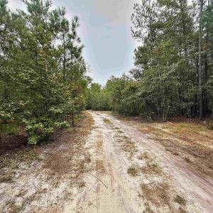 Photo #10 of 1682 Carriage Dr., Loris, SC 10.0 acres
