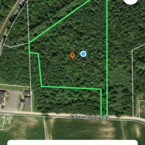 Photo #2 of Pleasant View Church Rd., Nichols, SC 8.5 acres