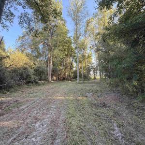 Photo #4 of Pleasant View Church Rd., Nichols, SC 8.5 acres