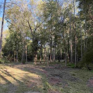 Photo #7 of Pleasant View Church Rd., Nichols, SC 8.5 acres