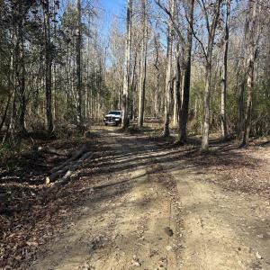 Photo #8 of Pleasant View Church Rd., Nichols, SC 8.5 acres