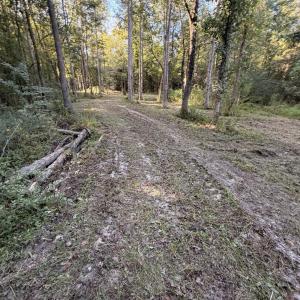 Photo #9 of Pleasant View Church Rd., Nichols, SC 8.5 acres