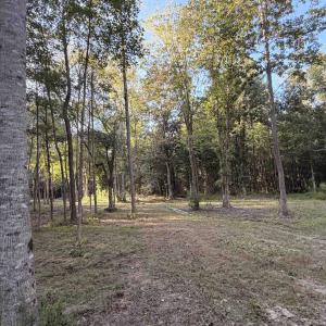 Photo #3 of Pleasant View Church Rd., Nichols, SC 8.5 acres