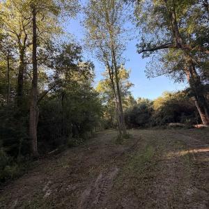 Photo #13 of Pleasant View Church Rd., Nichols, SC 8.5 acres