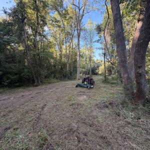 Photo #11 of Pleasant View Church Rd., Nichols, SC 8.5 acres