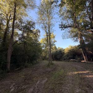 Photo #12 of Pleasant View Church Rd., Nichols, SC 8.5 acres