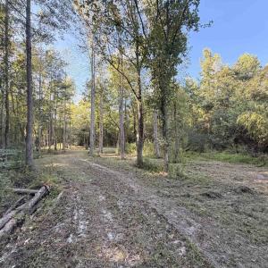 Photo #1 of Pleasant View Church Rd., Nichols, SC 8.5 acres