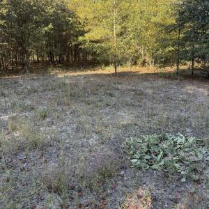 Photo #3 of 7506 Highway 501 Business, Latta, SC 73.0 acres