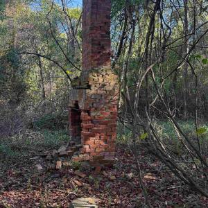 Photo #6 of 7506 Highway 501 Business, Latta, SC 73.0 acres