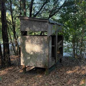 Photo #10 of 7506 Highway 501 Business, Latta, SC 73.0 acres